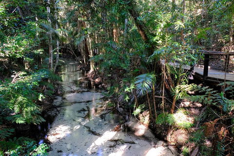 Fraser Island 4WD Tour From Rainbow Beach - Surfers Paradise Gold Coast 0