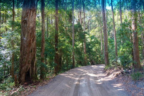 Fraser Island 4WD Tour From Rainbow Beach - Surfers Paradise Gold Coast 4