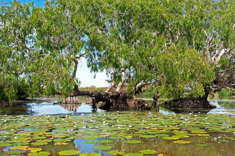 Ethical Adventures - Best In The WET - Litchfield / Kakadu 3 Day- Max 10 Guests - Surfers Paradise Gold Coast 1