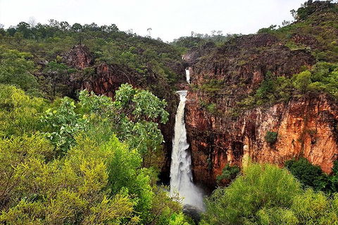 Ethical Adventures - Best In The WET - Litchfield / Kakadu 3 Day- Max 10 Guests - Surfers Paradise Gold Coast 2