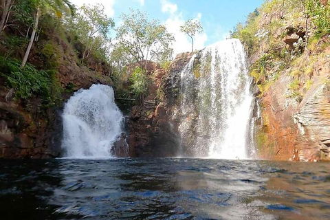 Ethical Adventures - Best In The WET - Litchfield / Kakadu 3 Day- Max 10 Guests - Surfers Paradise Gold Coast 5