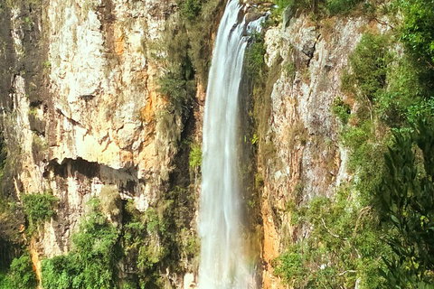 Natural Arch, Rainforest & Volcano Canyon - Private Half Day Tour - Surfers Paradise Gold Coast 2