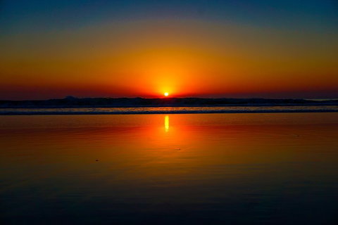 Glow Worms Private Tour - Nocturnal Rainforest Walk - Surfers Paradise Gold Coast 3