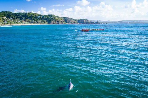 The Byron Bay Sea Kayak Tour - Surfers Paradise Gold Coast 2