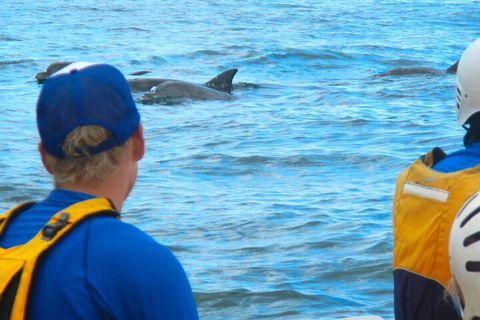 The Byron Bay Sea Kayak Tour - Surfers Paradise Gold Coast 4