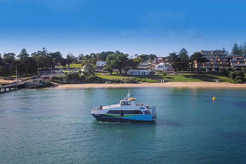 Phillip Island And French Island Wildlife Expedition - Surfers Paradise Gold Coast 2