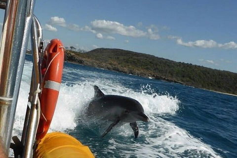 Noosa Oceanrider - Adventure Tour - Surfers Paradise Gold Coast 1
