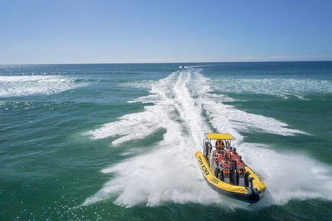 Noosa Oceanrider - Adventure Tour - Surfers Paradise Gold Coast 2