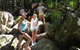 Byron Bay Hinterland Tour Including Rainforest Walk To Minyon Falls - thumb 3