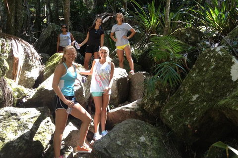 Byron Bay Hinterland Tour Including Rainforest Walk To Minyon Falls - Surfers Paradise Gold Coast 3