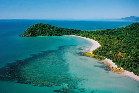 Daintree Rainforest, Cape Tribulation, Mossman Gorge Small-Group Day Tour - Surfers Paradise Gold Coast 4