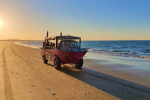Town Of 1770 Afternoon Cruise - Surfers Paradise Gold Coast 1