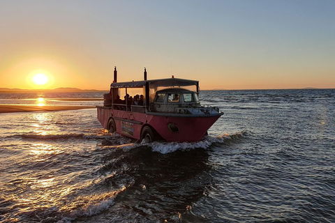 Town Of 1770 Afternoon Cruise - Surfers Paradise Gold Coast 3