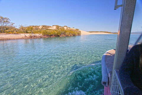 1770 Coastline Tour By LARC Amphibious Vehicle Including Picnic Lunch - Surfers Paradise Gold Coast 5