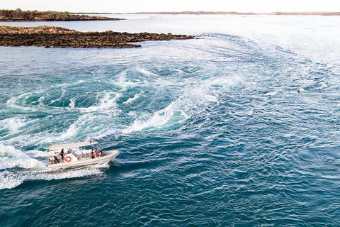 Giant Tides Tour - Cygnet Bay Pearl Farm - Surfers Paradise Gold Coast 4