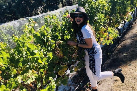 Valleys Of Vino Tour - Surfers Paradise Gold Coast 3