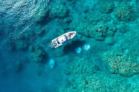 Premium Private Charter - Surfers Paradise Gold Coast 0