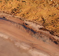 Scenic Flight Lizard Safari - Surfers Paradise Gold Coast