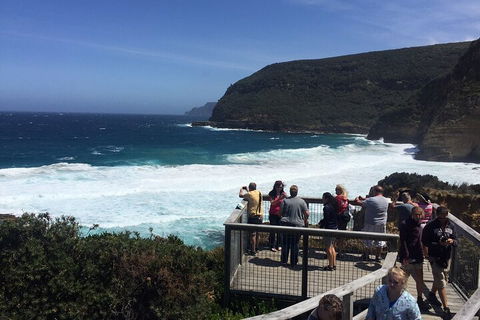 The Port Arthur MEGA Day Trip From Hobart - Surfers Paradise Gold Coast 2