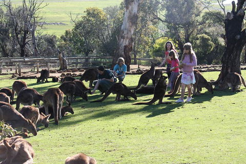 The Port Arthur MEGA Day Trip From Hobart - Surfers Paradise Gold Coast 5