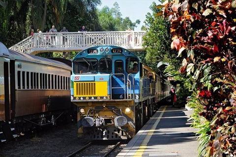 Kuranda Day Tour + HotAir Balloon Combo - Surfers Paradise Gold Coast 4