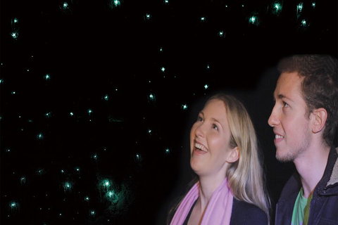 Natural Bridge Glow Worm Night Tour From Gold Coast - Surfers Paradise Gold Coast 3