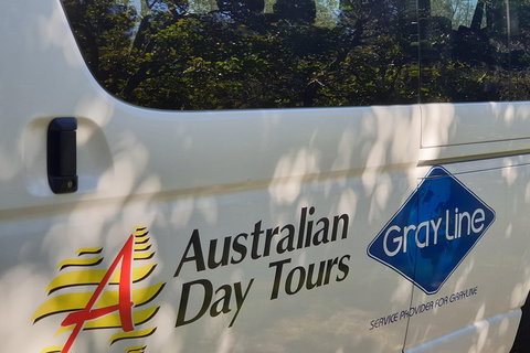 Natural Bridge Glow Worm Night Tour From Gold Coast - Surfers Paradise Gold Coast 5