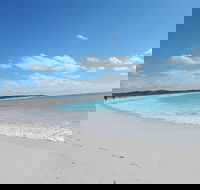 Shipwreck Special Nature Tour/Half Day Tour - Surfers Paradise Gold Coast