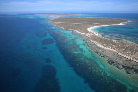 Pink Lake + Abrolhos Islands Scenic Flight - Surfers Paradise Gold Coast 0