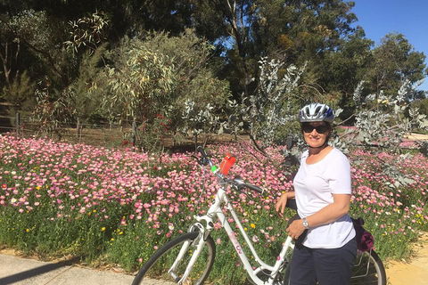 Perth Bike Tour - Beautiful Matilda Bay And Kings Park - Surfers Paradise Gold Coast 1