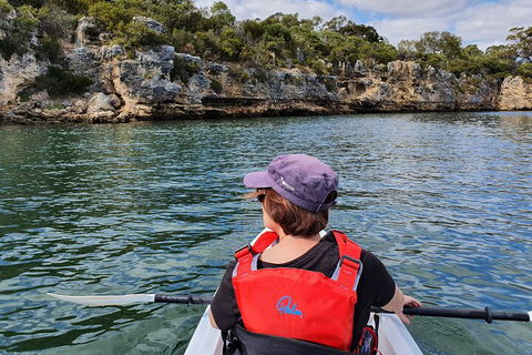Cliffs And Caves Kayak Tour In Swan River - Surfers Paradise Gold Coast 0