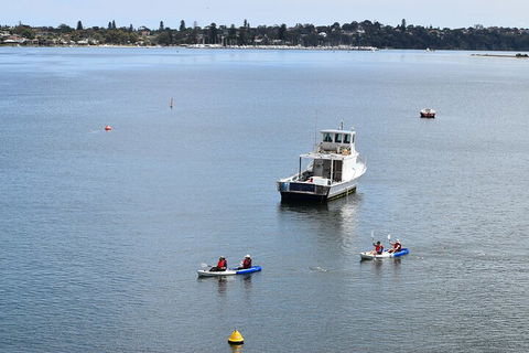 Cliffs And Caves Kayak Tour In Swan River - Surfers Paradise Gold Coast 2
