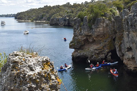 Cliffs And Caves Kayak Tour In Swan River - Surfers Paradise Gold Coast 5