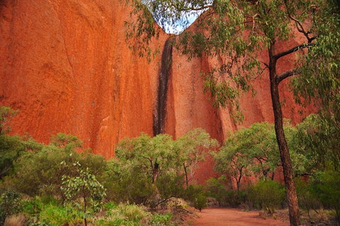 Uluru Sunrise And Guided Base Walk - Surfers Paradise Gold Coast 3