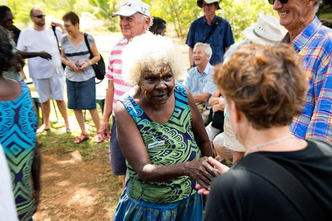 Tiwi Islands Cultural Experience From Darwin Including Ferry - Surfers Paradise Gold Coast 0
