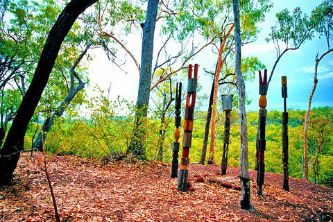 Tiwi Islands Cultural Experience From Darwin Including Ferry - Surfers Paradise Gold Coast 3