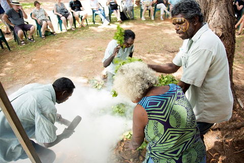 Tiwi Islands Cultural Experience From Darwin Including Ferry - Surfers Paradise Gold Coast 4