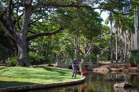 Darwin City Sights And Jumping Crocodile Cruise - Surfers Paradise Gold Coast 5