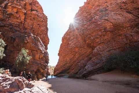 West MacDonnell Ranges- Half Day Trip From Alice Springs - Surfers Paradise Gold Coast 0