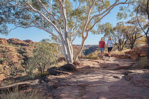 3-Day Tour From Uluru (Ayers Rock) To Alice Springs Via Kings Canyon - Surfers Paradise Gold Coast 1