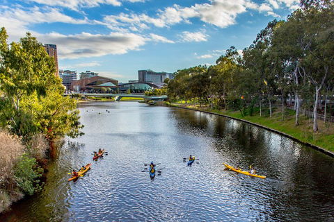 Adelaide City Kayak Tour - Surfers Paradise Gold Coast 0