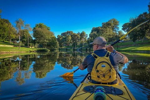 Adelaide City Kayak Tour - Surfers Paradise Gold Coast 5