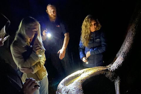 Evening Rainforest & Glow Worm Experience - Surfers Paradise Gold Coast 2