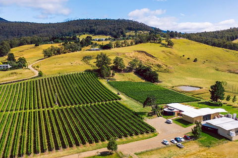 Tasmanian Wine Tour - Surfers Paradise Gold Coast 4