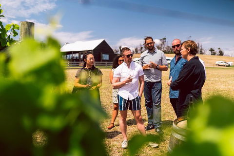 Tasmanian Wine Tour - Surfers Paradise Gold Coast 5
