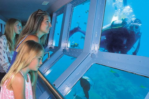 Quicksilver Outer Great Barrier Reef Snorkel Cruise From Palm Cove - Surfers Paradise Gold Coast 0