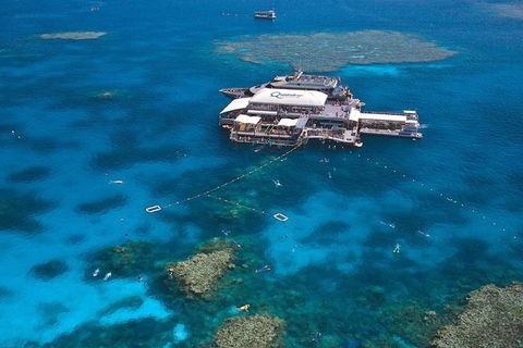 Quicksilver Outer Great Barrier Reef Snorkel Cruise From Palm Cove - Surfers Paradise Gold Coast 1