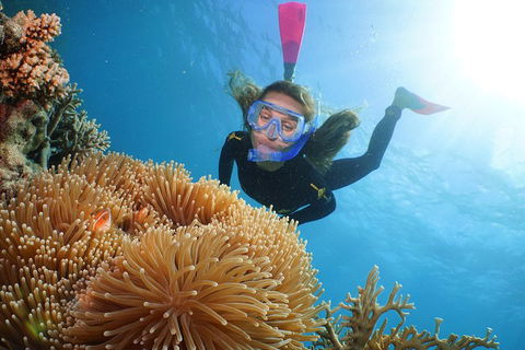 Quicksilver Outer Great Barrier Reef Snorkel Cruise From Palm Cove - Surfers Paradise Gold Coast 2