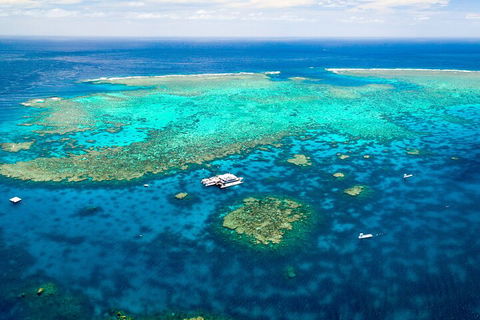 Quicksilver Outer Great Barrier Reef Snorkel Cruise From Palm Cove - Surfers Paradise Gold Coast 4