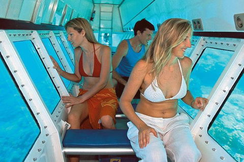 Quicksilver Outer Great Barrier Reef Snorkel Cruise From Palm Cove - Surfers Paradise Gold Coast 5